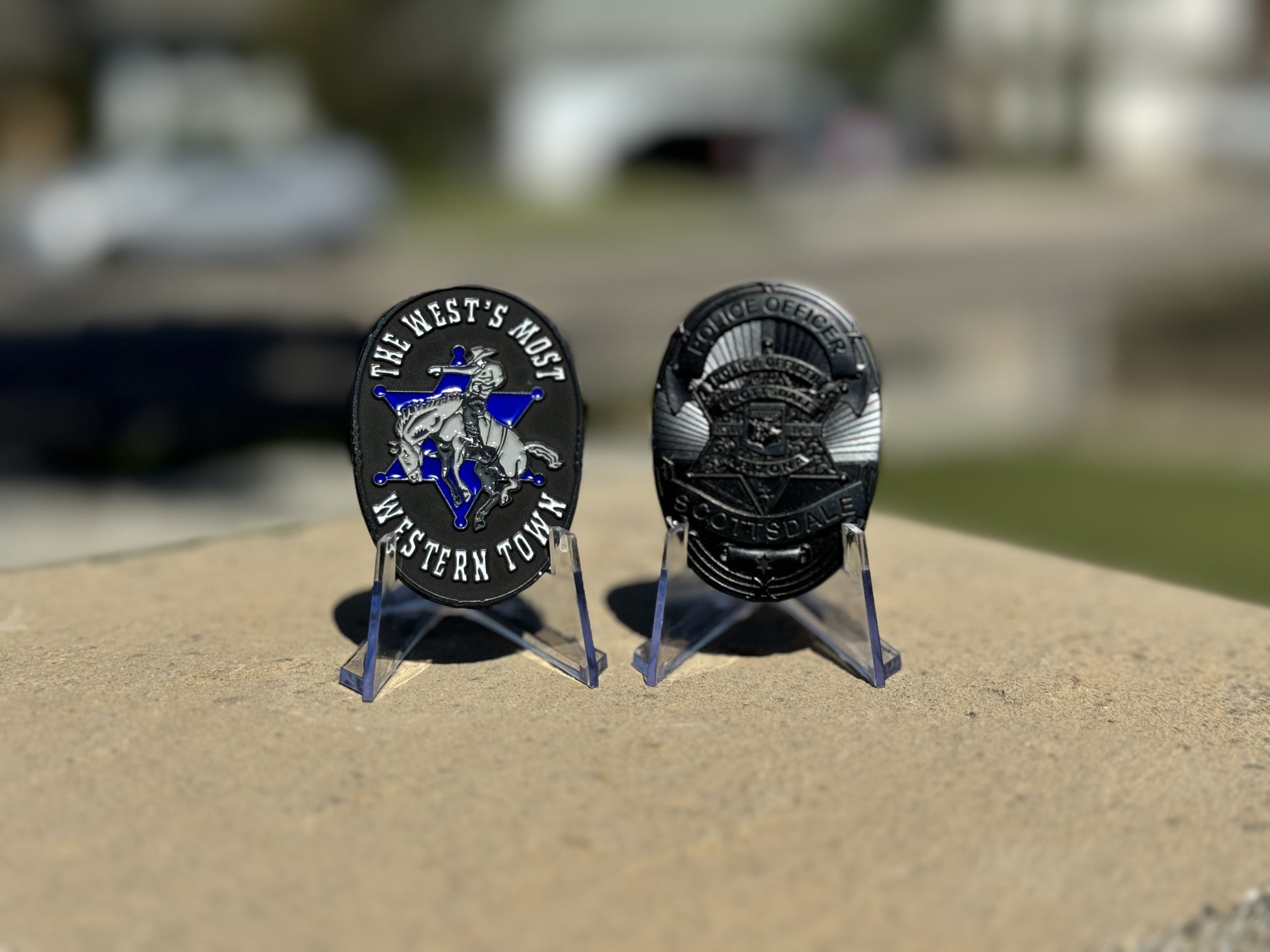 Felony Fish SCOTTSDALE PD – Felony Fish